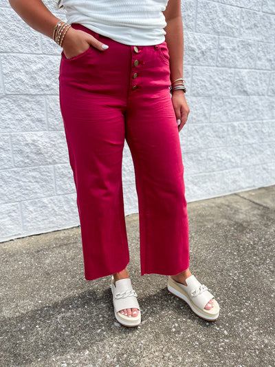 Red Velvet Button Front Wide Leg Pants