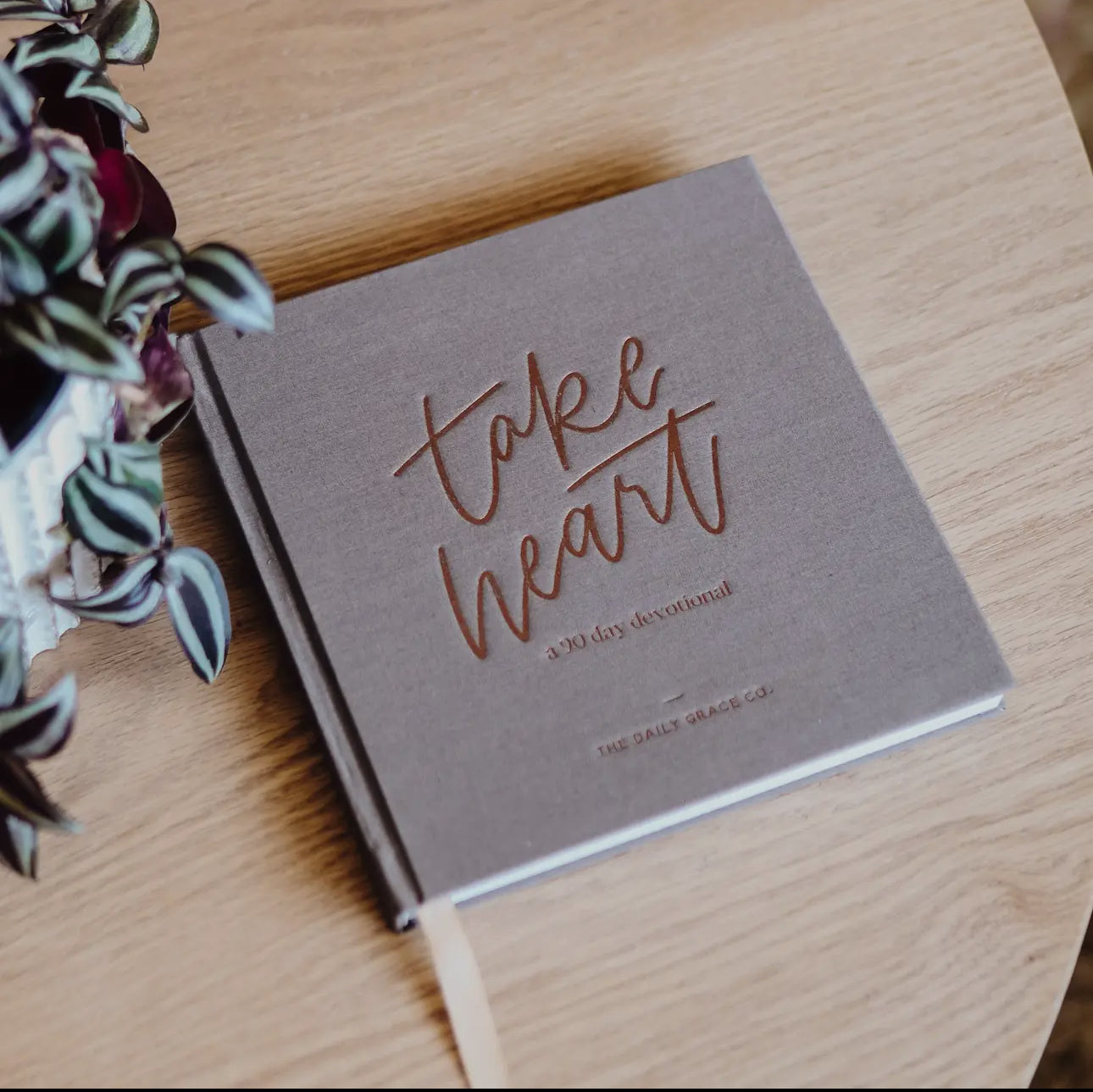 Take Heart 90 Day Devotional