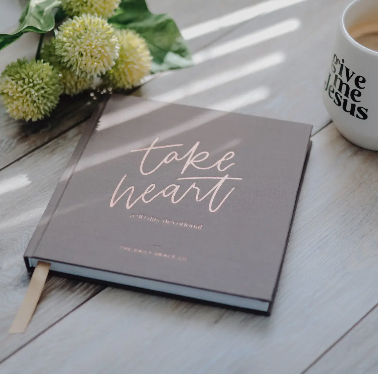 Take Heart 90 Day Devotional